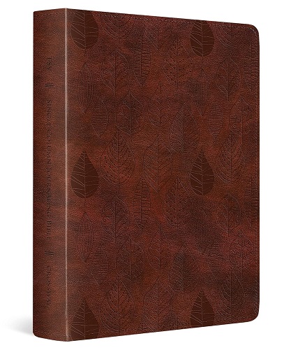 Best journaling Bible for artists