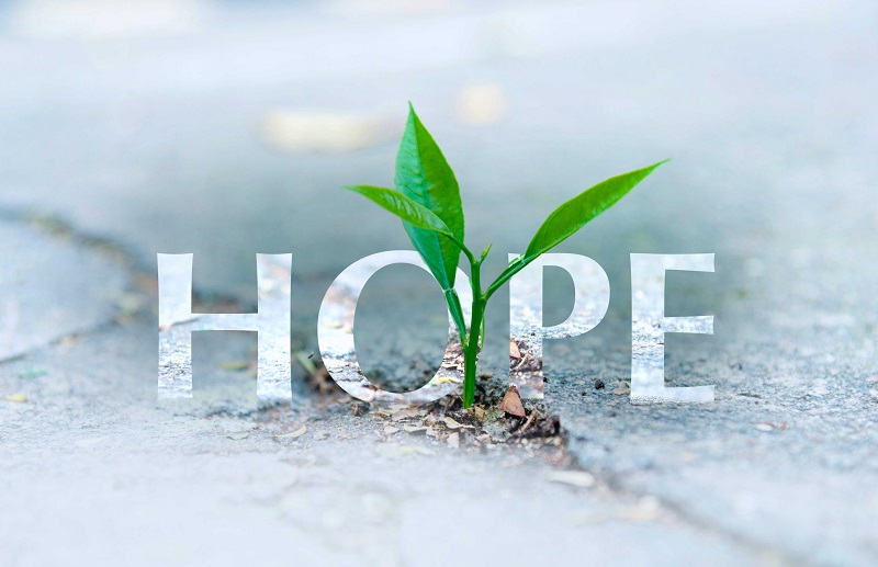 bible verses about hope and faith