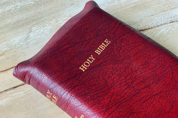 bible verses about having a good day