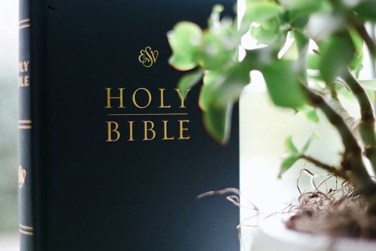 Acts 19 summary