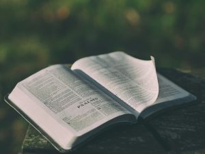 16 Bible Verses for Graduation (With Commentaries)