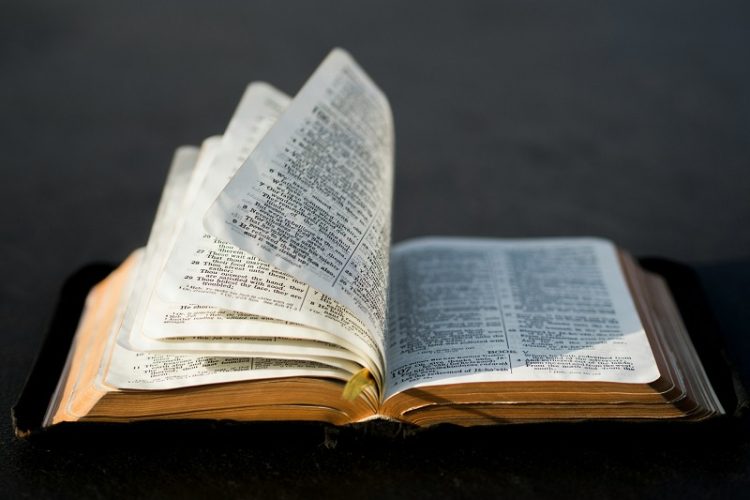 Genesis 1:27 meaning
