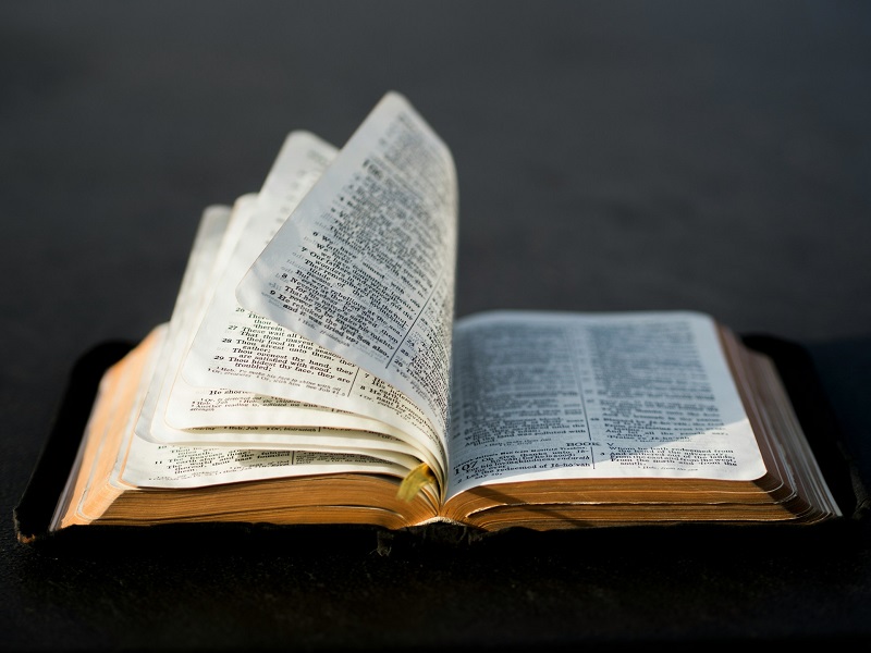Genesis 1:27 meaning