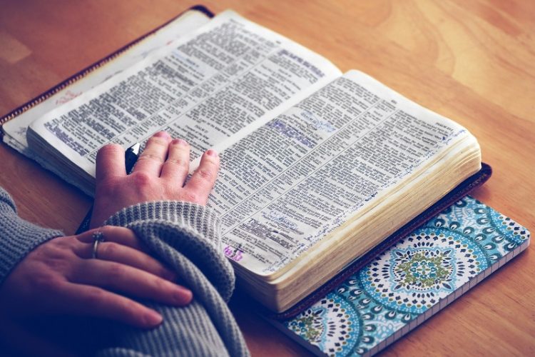 Genesis 1:28 meaning