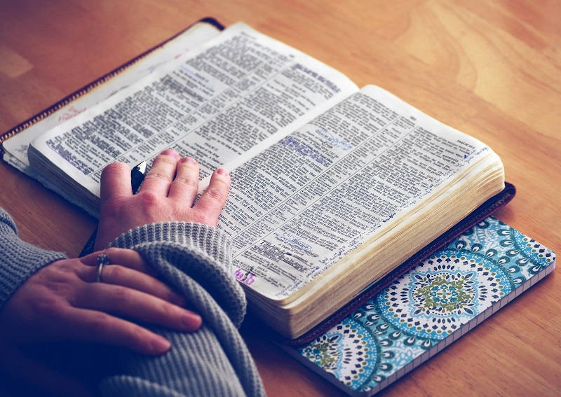 Genesis 1:28 meaning
