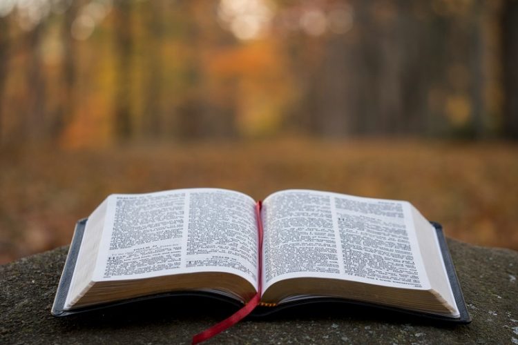 Genesis 1-30 meaning