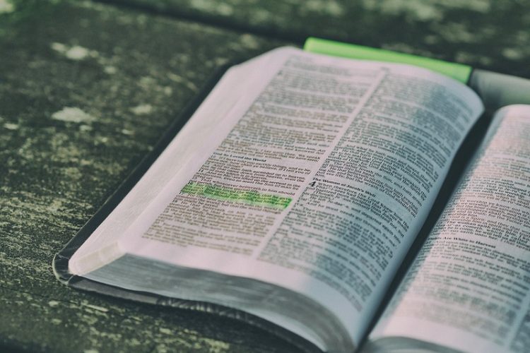 Genesis 1:31 meaning