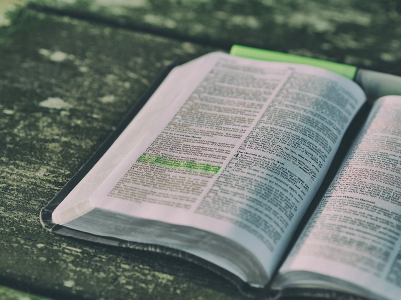 Genesis 1:31 meaning